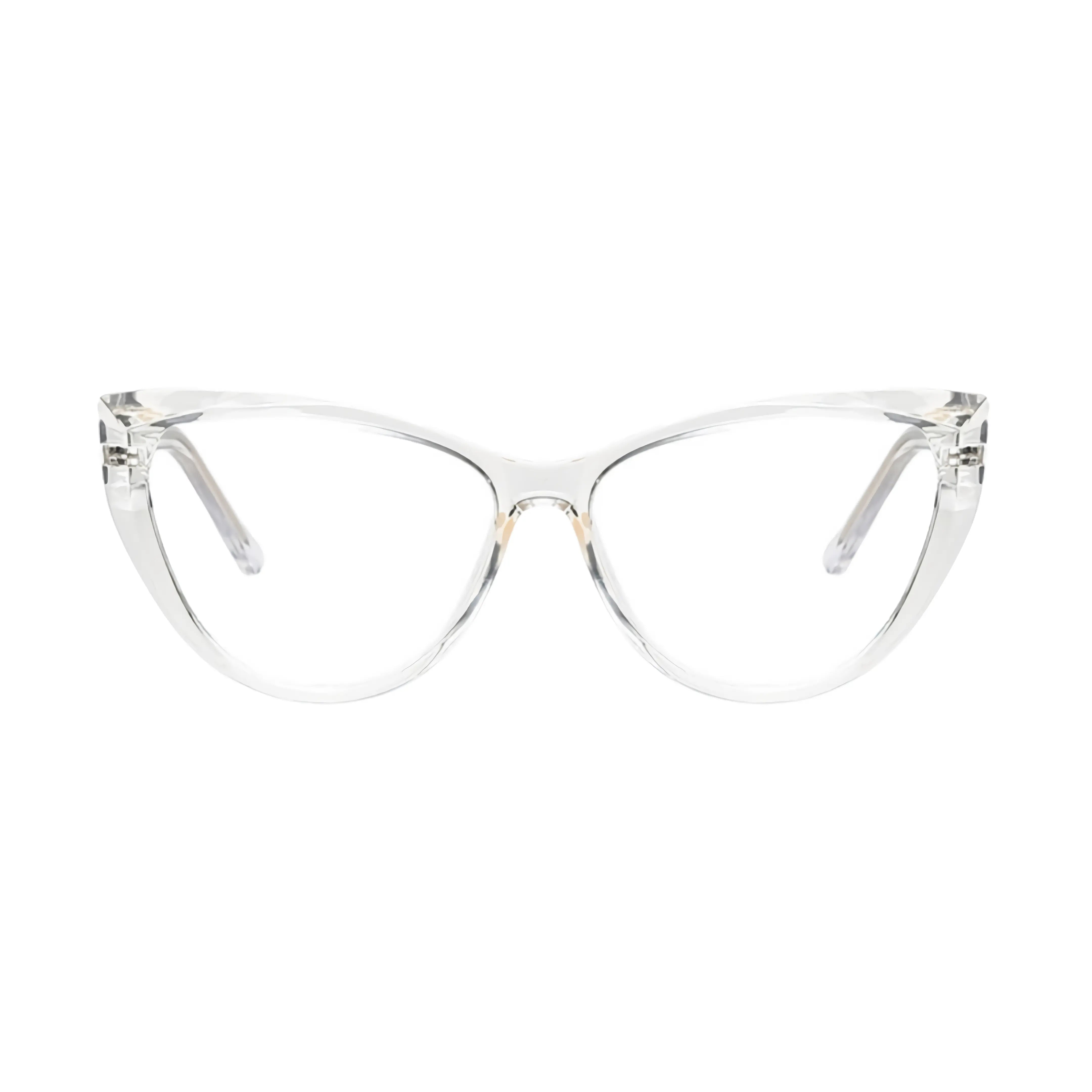 VisionGuard Pro