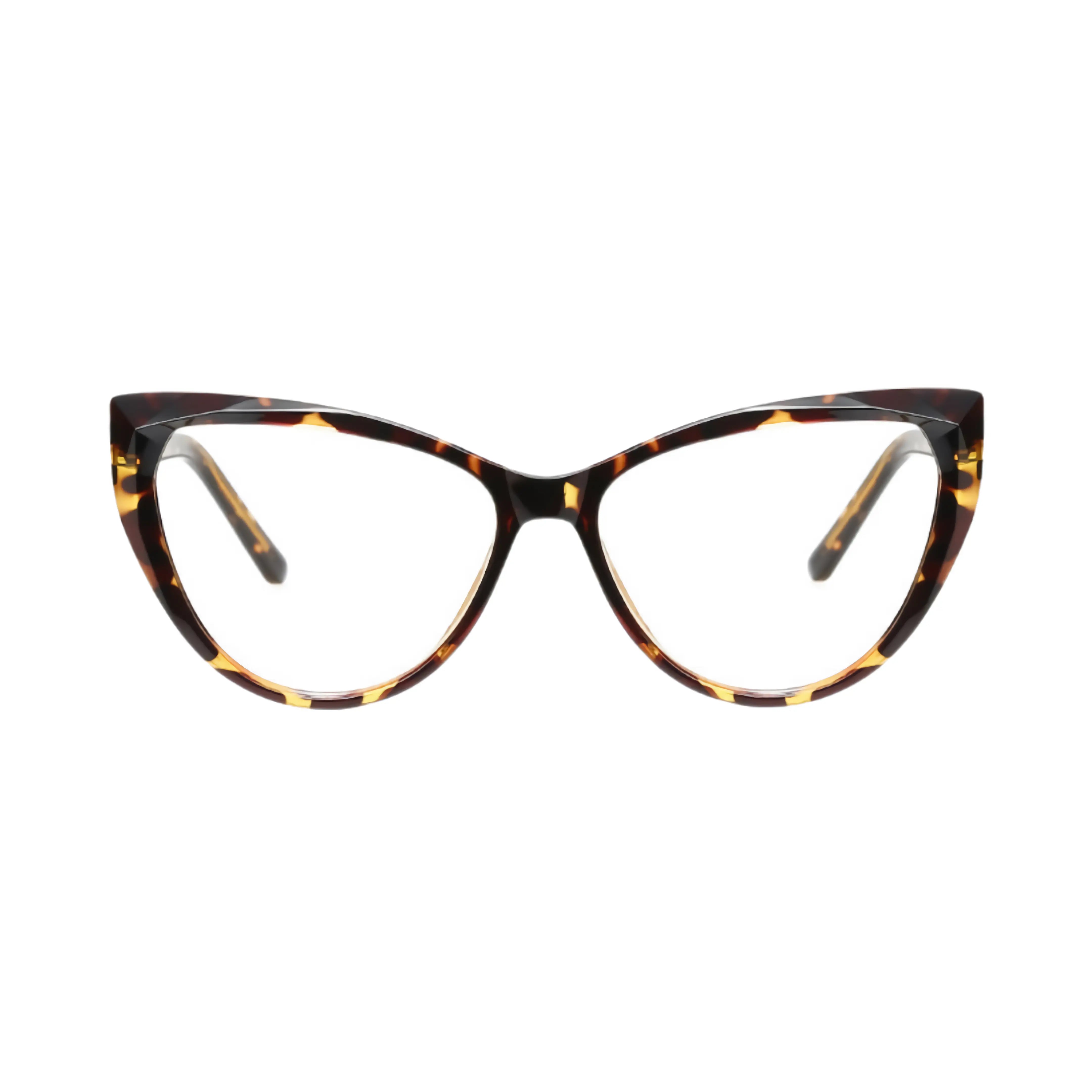 VisionGuard Pro