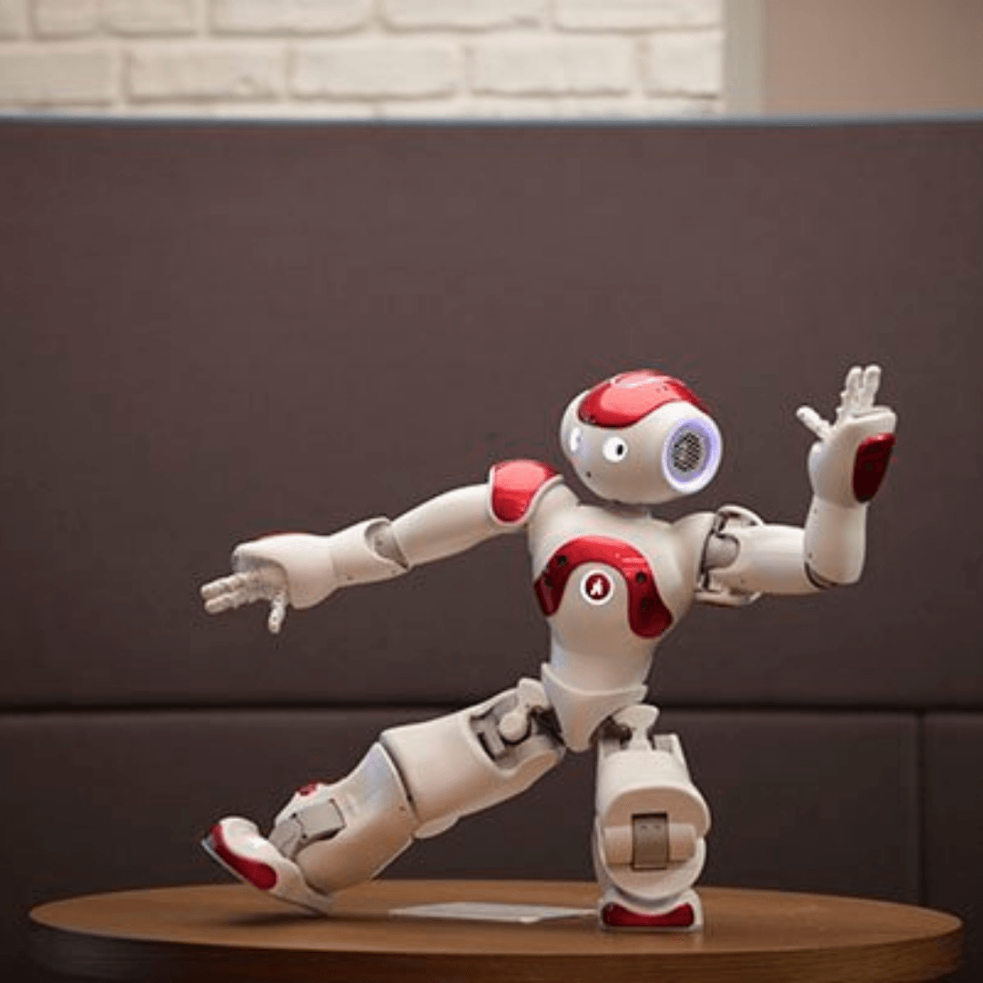 ProMotion Smart Robo Toy Set